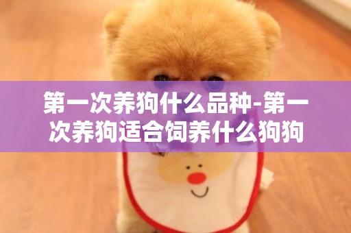 第一次養狗什么品種-第一次養狗適合飼養什么狗狗
