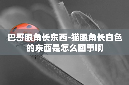 巴哥眼角長東西-貓眼角長白色的東西是怎么回事啊