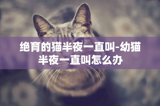 絕育的貓半夜一直叫-幼貓半夜一直叫怎么辦