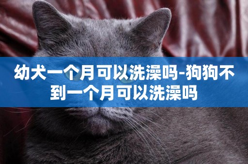 幼犬一個月可以洗澡嗎-狗狗不到一個月可以洗澡嗎