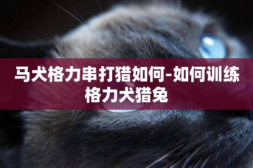 馬犬格力串打獵如何-如何訓練格力犬獵兔