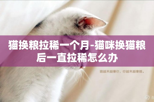 貓換糧拉稀一個月-貓咪換貓糧后一直拉稀怎么辦