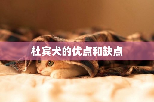 杜賓犬的優點和缺點
