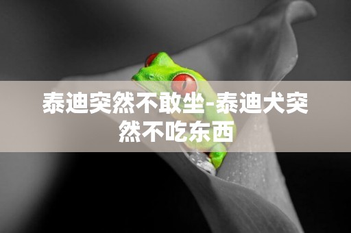 泰迪突然不敢坐-泰迪犬突然不吃東西