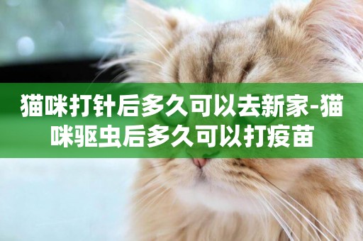 貓咪打針后多久可以去新家-貓咪驅蟲后多久可以打疫苗