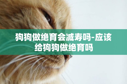 狗狗做絕育會減壽嗎-應該給狗狗做絕育嗎