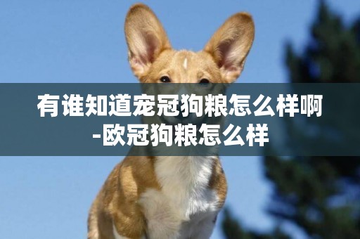 有誰知道寵冠狗糧怎么樣啊-歐冠狗糧怎么樣