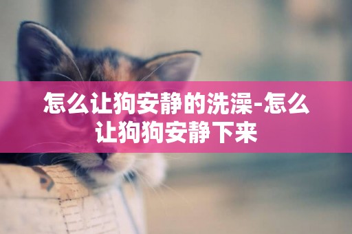 怎么讓狗安靜的洗澡-怎么讓狗狗安靜下來