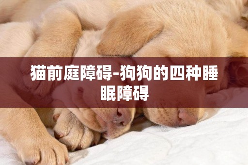 貓前庭障礙-狗狗的四種睡眠障礙