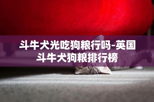 斗牛犬光吃狗糧行嗎-英國斗牛犬狗糧排行榜