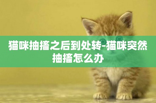 貓咪抽搐之后到處轉-貓咪突然抽搐怎么辦