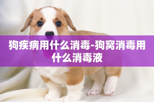 狗疾病用什么消毒-狗窩消毒用什么消毒液