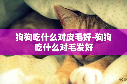 狗狗吃什么對皮毛好-狗狗吃什么對毛發好