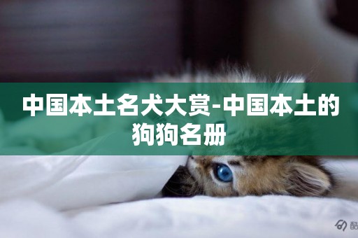 中國本土名犬大賞-中國本土的狗狗名冊