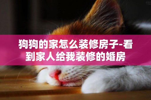 狗狗的家怎么裝修房子-看到家人給我裝修的婚房