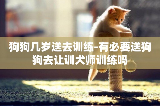 狗狗幾歲送去訓練-有必要送狗狗去讓訓犬師訓練嗎