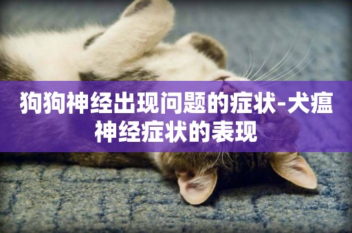狗狗神經出現問題的癥狀-犬瘟神經癥狀的表現