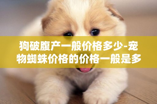 狗破腹產一般價格多少-寵物蜘蛛價格的價格一般是多少