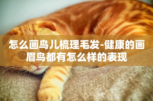 怎么畫鳥兒梳理毛發-健康的畫眉鳥都有怎么樣的表現