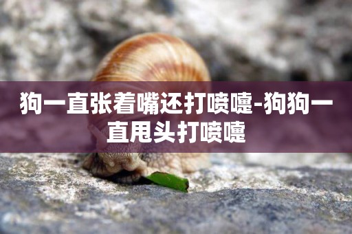 狗一直張著嘴還打噴嚏-狗狗一直甩頭打噴嚏