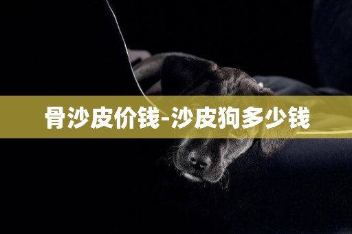 骨沙皮價錢-沙皮狗多少錢