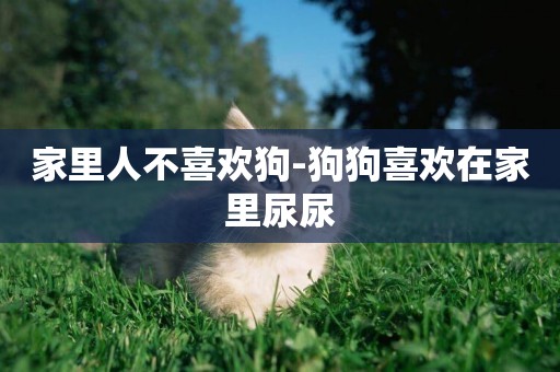 家里人不喜歡狗-狗狗喜歡在家里尿尿