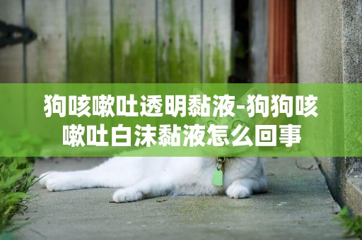 狗咳嗽吐透明黏液-狗狗咳嗽吐白沫黏液怎么回事