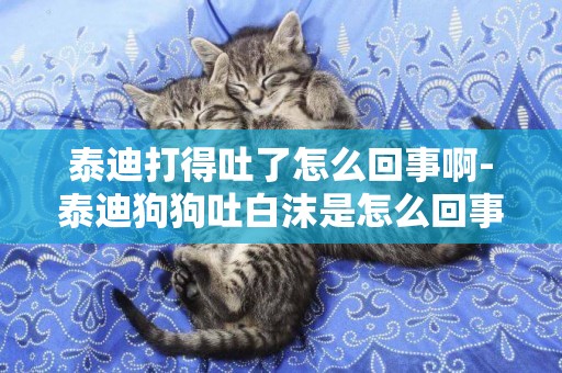 泰迪打得吐了怎么回事啊-泰迪狗狗吐白沫是怎么回事