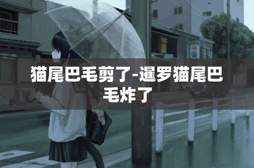 貓尾巴毛剪了-暹羅貓尾巴毛炸了