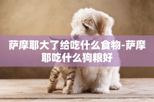 薩摩耶大了給吃什么食物-薩摩耶吃什么狗糧好