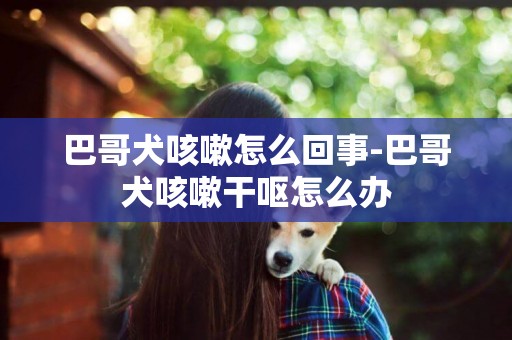 巴哥犬咳嗽怎么回事-巴哥犬咳嗽干嘔怎么辦