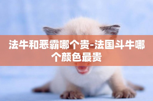 法牛和惡霸哪個貴-法國斗牛哪個顏色最貴