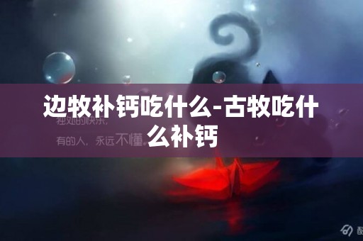 邊牧補鈣吃什么-古牧吃什么補鈣