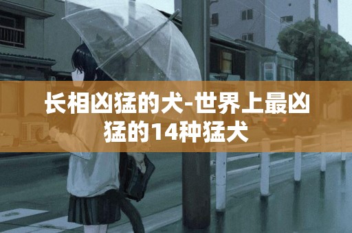 長相兇猛的犬-世界上最兇猛的14種猛犬