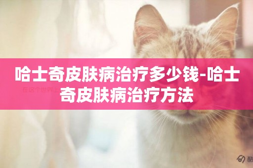 哈士奇皮膚病治療多少錢-哈士奇皮膚病治療方法