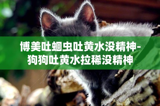 博美吐蛔蟲吐黃水沒精神-狗狗吐黃水拉稀沒精神