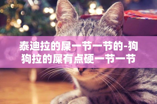 泰迪拉的屎一節一節的-狗狗拉的屎有點硬一節一節