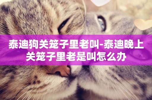 泰迪狗關籠子里老叫-泰迪晚上關籠子里老是叫怎么辦