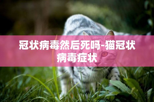冠狀病毒然后死嗎-貓冠狀病毒癥狀