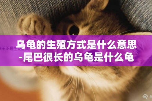 烏龜的生殖方式是什么意思-尾巴很長的烏龜是什么龜