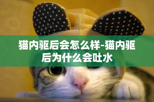 貓內驅后會怎么樣-貓內驅后為什么會吐水