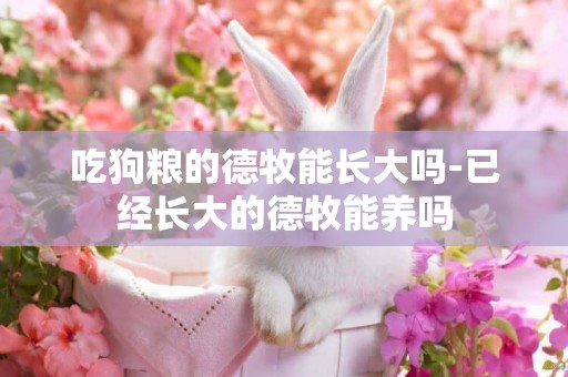 吃狗糧的德牧能長大嗎-已經長大的德牧能養嗎