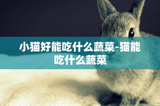 小貓好能吃什么蔬菜-貓能吃什么蔬菜