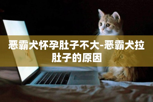 惡霸犬懷孕肚子不大-惡霸犬拉肚子的原因