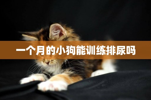 一個月的小狗能訓練排尿嗎
