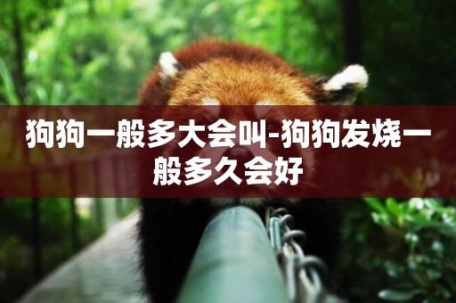 狗狗一般多大會叫-狗狗發燒一般多久會好