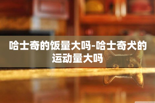 哈士奇的飯量大嗎-哈士奇犬的運動量大嗎
