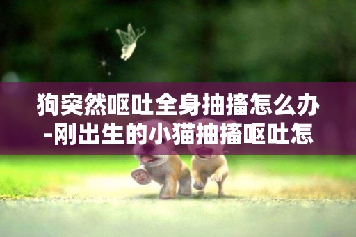 狗突然嘔吐全身抽搐怎么辦-剛出生的小貓抽搐嘔吐怎么辦