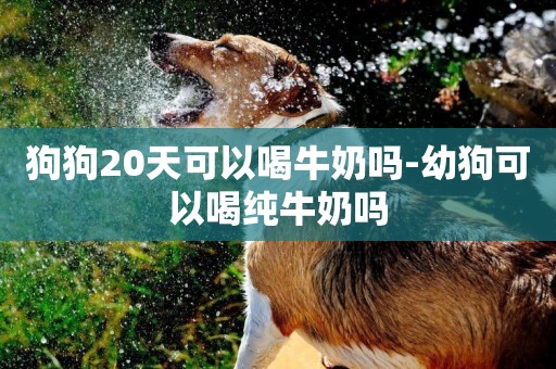 狗狗20天可以喝牛奶嗎-幼狗可以喝純牛奶嗎