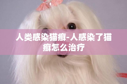 人類感染貓癬-人感染了貓癬怎么治療